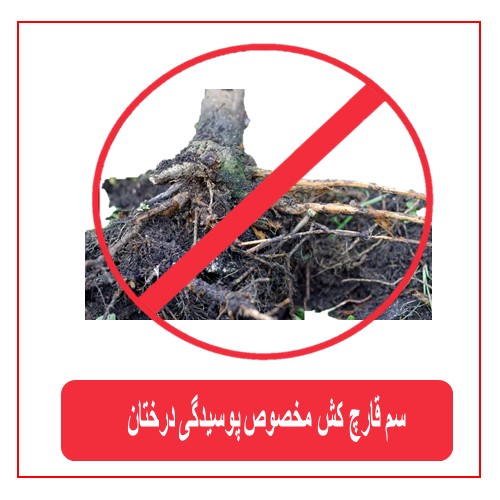 سم قارچ کش مخصوص پوسیدگی درختان